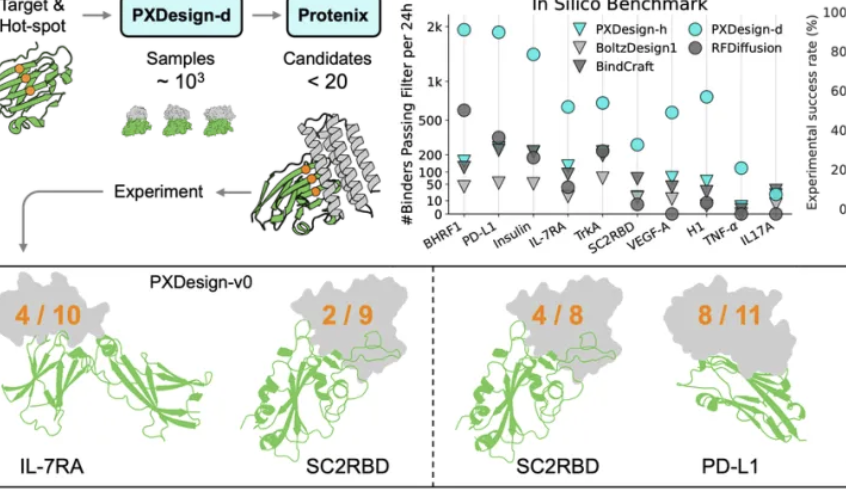 字节Seed发布PXDesign:蛋白设计效率提升十倍,进入实用新阶段