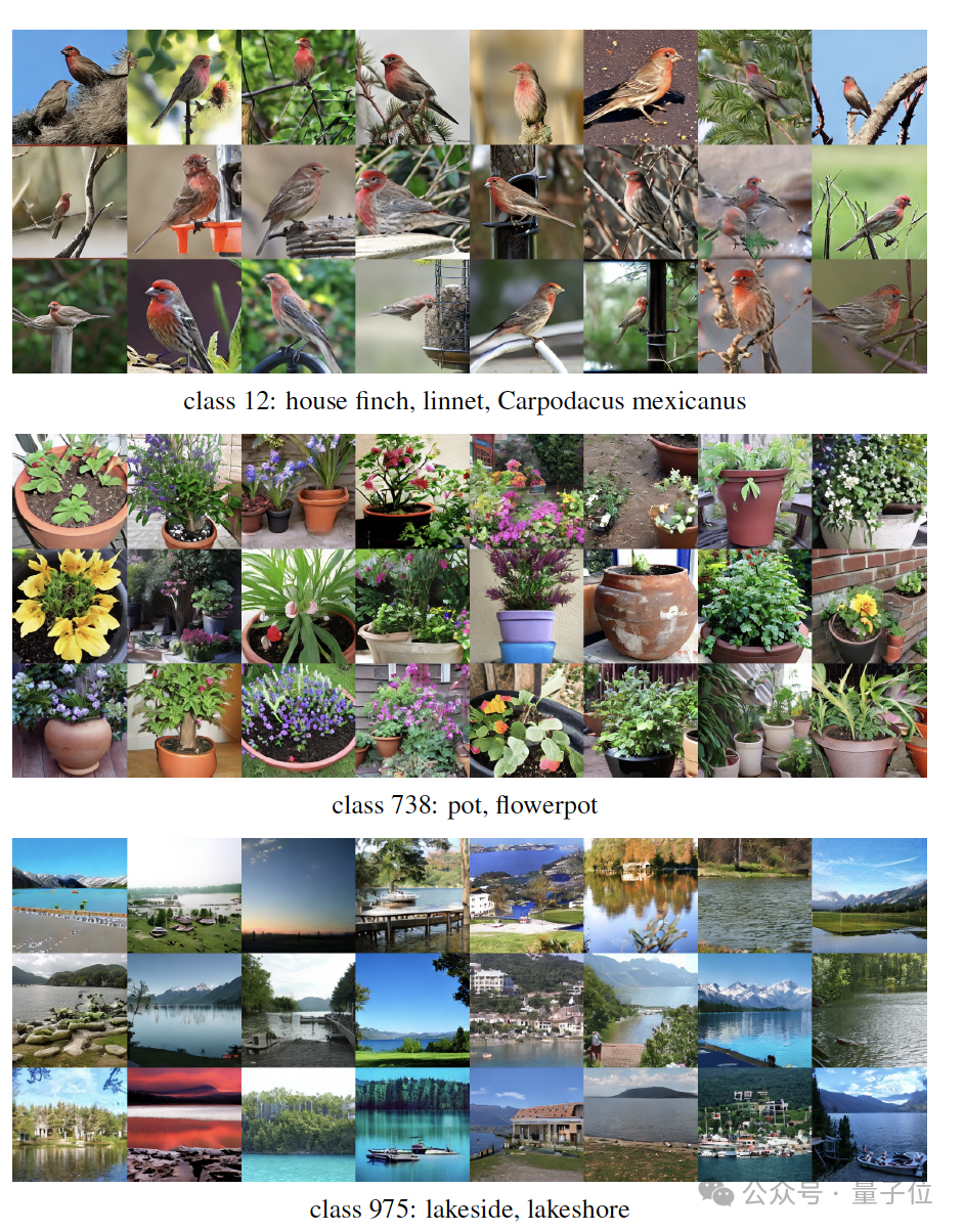 后生可畏！何恺明团队新成果发布，共一清华姚班大二在读