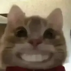 国内开店卷不动,换上AI出海试试