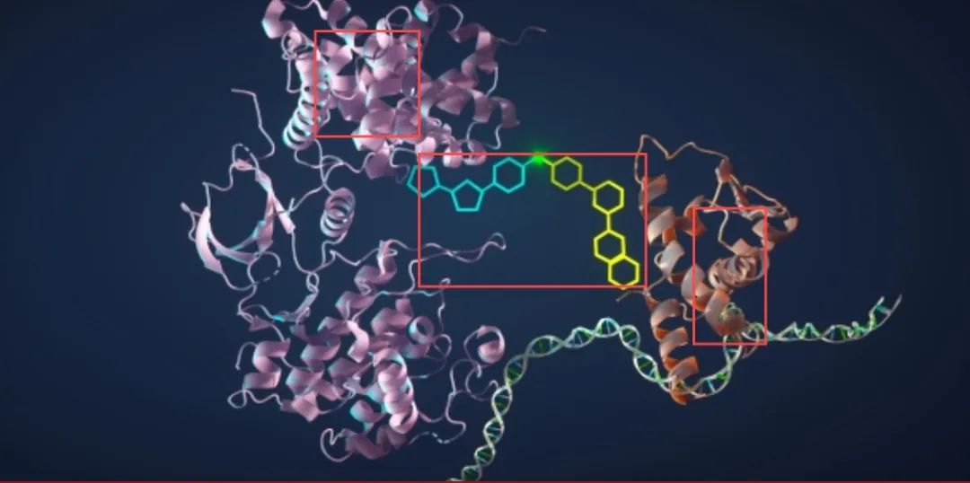 如何杀死癌细胞？斯坦福医学院：骗它开启自毁