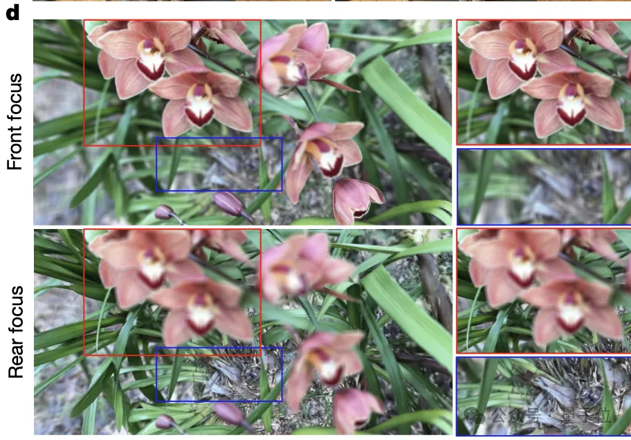 《三体》“宇宙闪烁”成真!免佩戴裸眼3D屏登Nature 《三体》“宇宙闪烁”成真!免佩戴裸眼3D屏登Nature