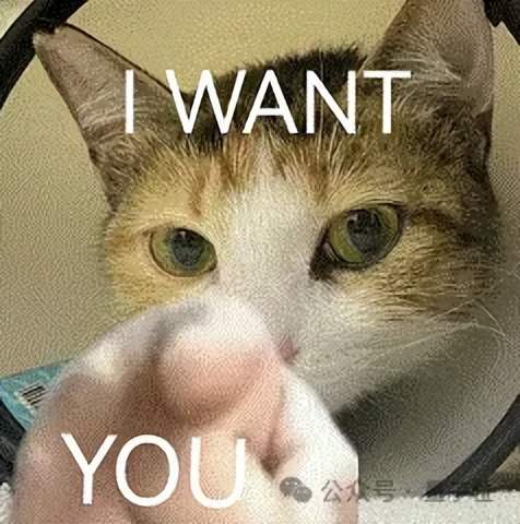 误入人均10个顶级offer的技术天团活动,顶尖AI人才的选择逻辑我悟了 误入人均10个顶级offer的技术天团活动,顶尖AI人才的选择逻辑我悟了