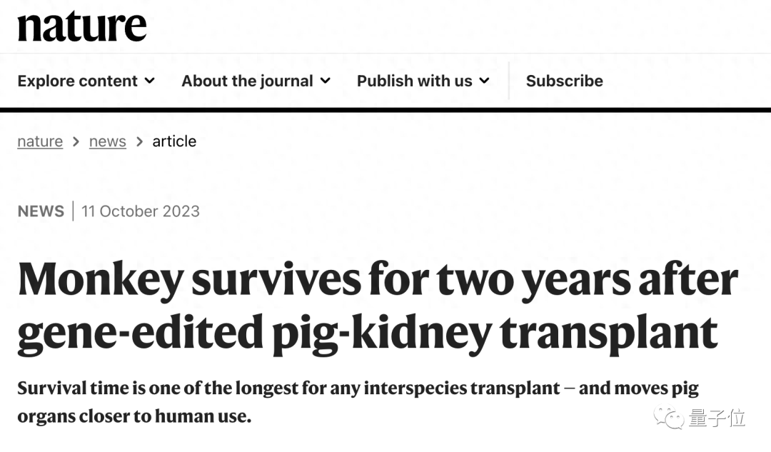 移植猪肾猴子成功存活两年！Nature发布跨物种器官移植最新成果