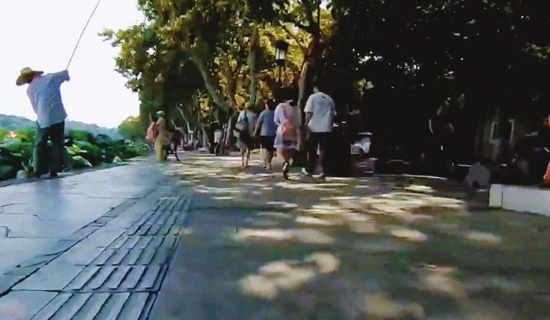 超远程操控机器狗直播