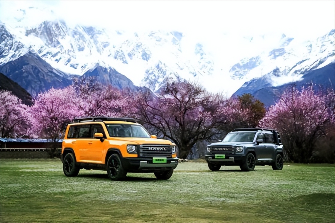 20万级新能源方盒子首选 2024款哈弗猛龙进阶上市