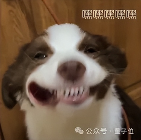 田渊栋卡帕西力荐Nano Banana新玩法：论文变漫画、手写解题以假乱真，谷歌这波赢麻了