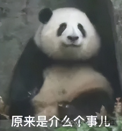 孙正义再次清仓英伟达!上一次教训“价值2500亿美元” 孙正义再次清仓英伟达!上一次教训“价值2500亿美元”