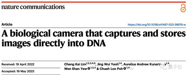 用DNA直接存储图像，「活细胞相机」分辨率达96像素 | Nature子刊
