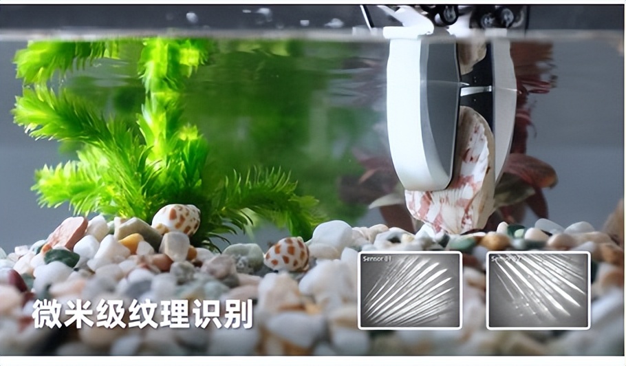 戴盟新一代视触觉解决方案全球首发，四大功能全新升级