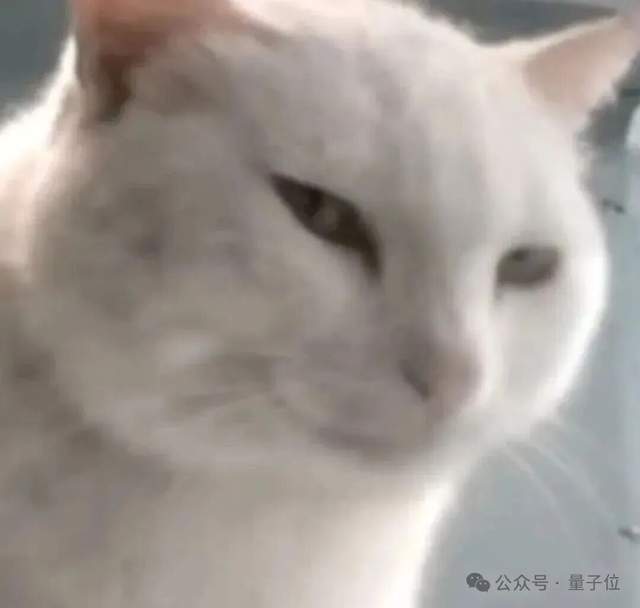 4.98万就能买机器人通用基座？一机三态，多场景验证，配VLA大脑