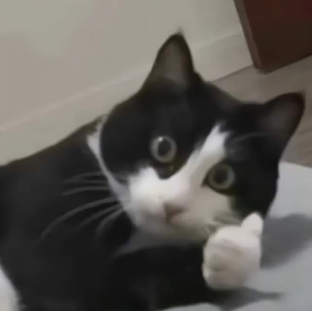 原神LOL齐聚的Unity开发者大会,我看到了AI游戏的未来 原神LOL齐聚的Unity开发者大会,我看到了AI游戏的未来