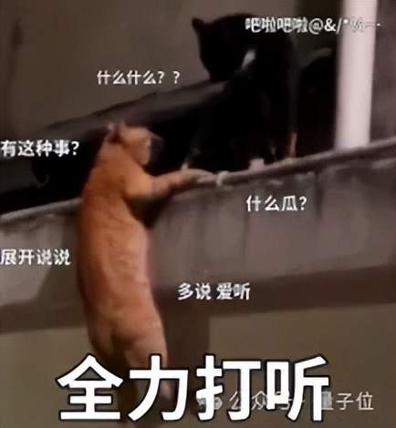 奥特曼承认谷歌威胁到OpenAI！即将推出新模型“Shallotpeat”