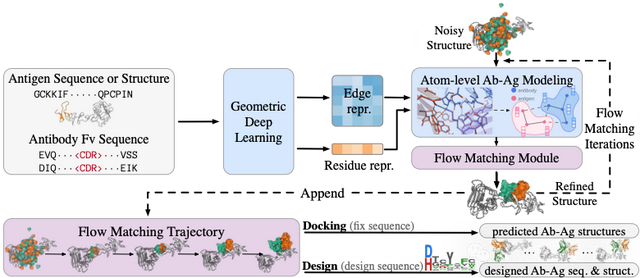 与AlphaFold3持平！国产抗体设计生成式AI大模型发布，能同时预测抗原抗体复合物结构和抗体从头设计