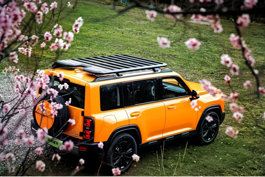 20万级新能源方盒子首选 2024款哈弗猛龙进阶上市