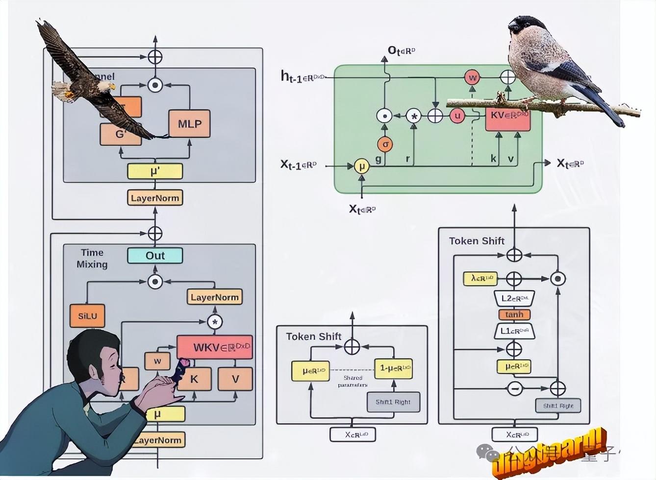 魔改RNN挑战Transformer，RWKV上新：推出2种新架构模型