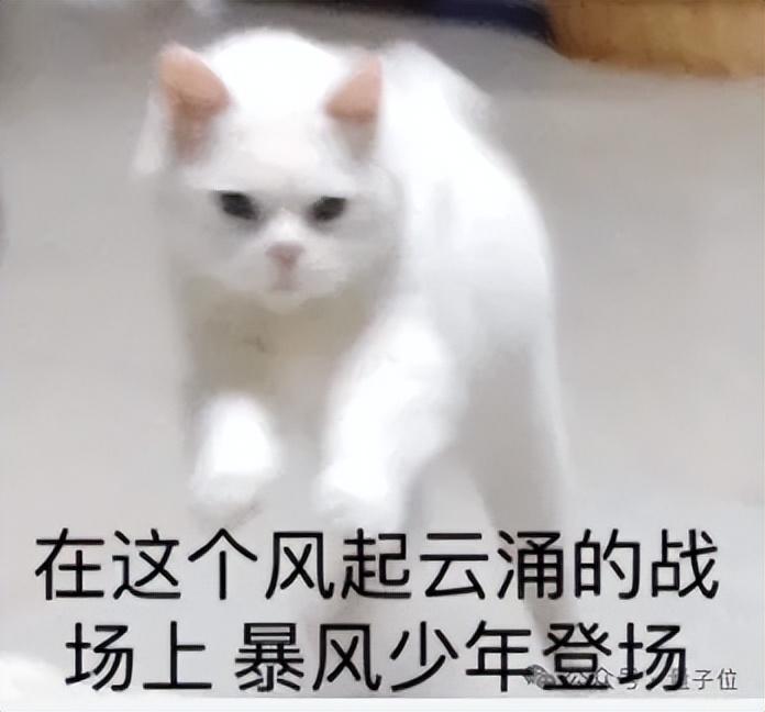 最神秘国产大模型团队冒泡，出手就是万亿参数MoE，2款应用敞开玩