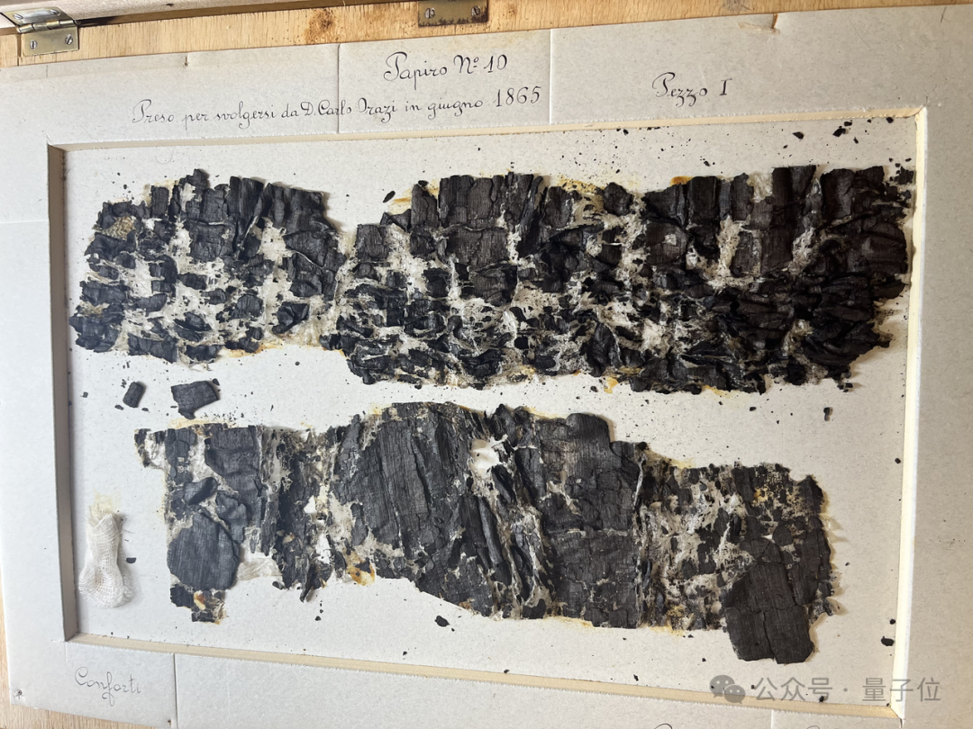 马斯克点赞SpaceX天才实习生:课余用AI破解上古卷轴,获Nature头版关注