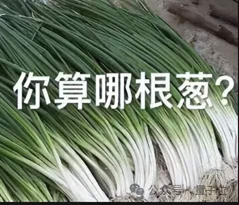 GPT5.5代号“蒜你狠”曝光!OpenAI拉响红色警报加班赶制新模型,最快下周就发 GPT5.5代号“蒜你狠”曝光!OpenAI拉响红色警报加班赶制新模型,最快下周就发