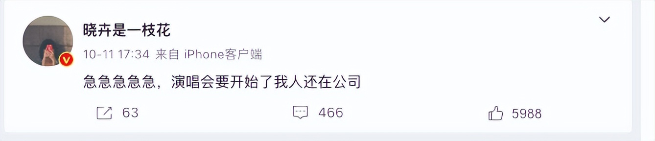 赵晓卉一句话，数百万网友操碎了心