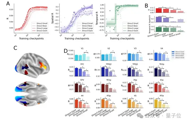 最新研究揭示视觉模型与人脑的对齐机制