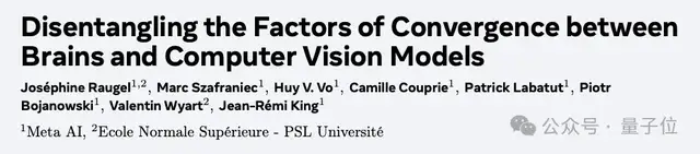 最新研究揭示视觉模型与人脑的对齐机制