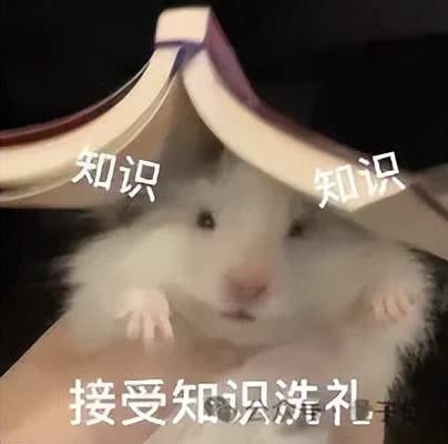 3名高中生重新证明百年数学定理!只用课余时间、方法非常创新