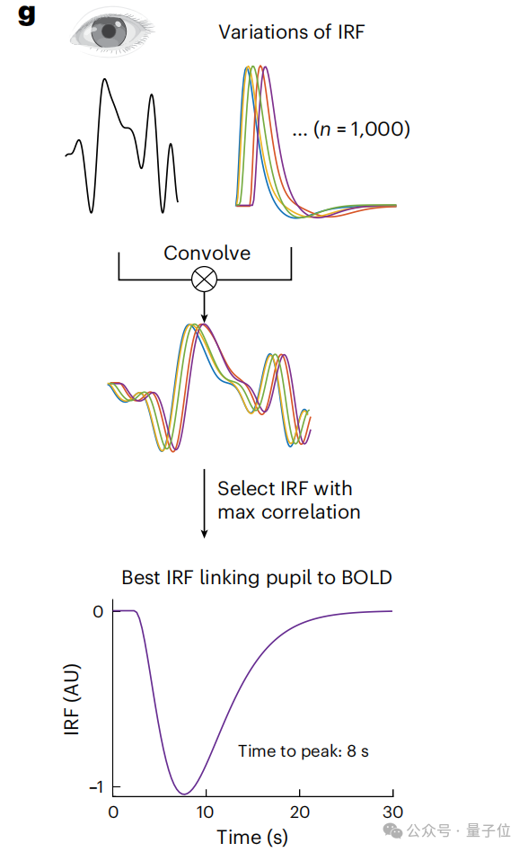熬夜后走神不是你的错,而是自救机制在“洗脑” | Nature 熬夜后走神不是你的错,而是自救机制在“洗脑” | Nature