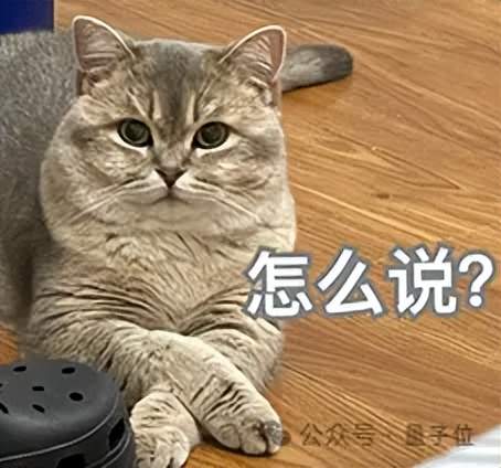 腾讯总裁剧透微信搭载智能体!阿里和谷歌也都开始互相伤害了 腾讯总裁剧透微信搭载智能体!阿里和谷歌也都开始互相伤害了