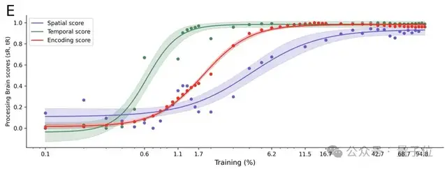 最新研究揭示视觉模型与人脑的对齐机制