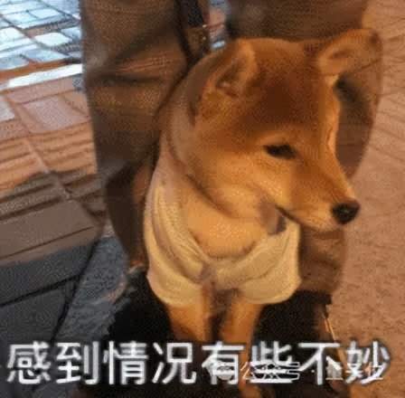 奥特曼承认谷歌威胁到OpenAI！即将推出新模型“Shallotpeat”