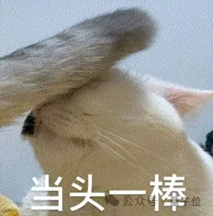 NuerIPS唯一满分论文曝光，来自清华上交