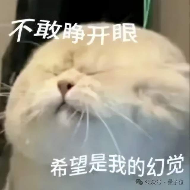 奥特曼谈OpenAI首款AI硬件：我想拿起它咬一口