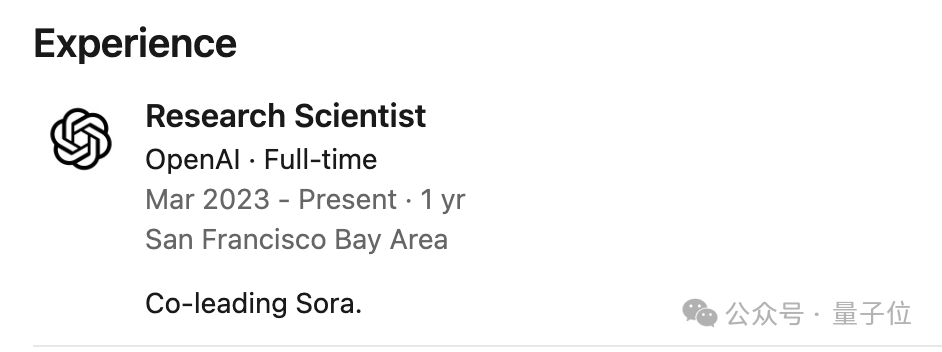 谢赛宁紧急辟谣：Sora跟我一点关系没有，他们996搞一年了