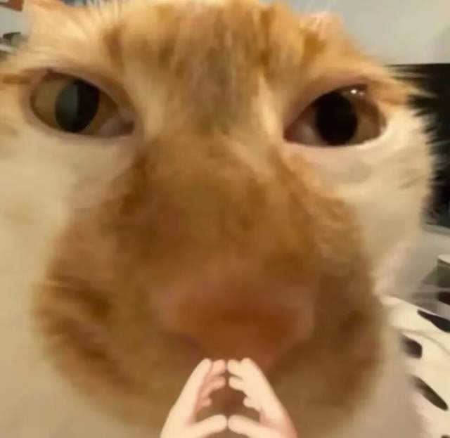 全新创作平台SkyReels来了!一张画布+对话框包办AI视频创作流程 全新创作平台SkyReels来了!一张画布+对话框包办AI视频创作流程