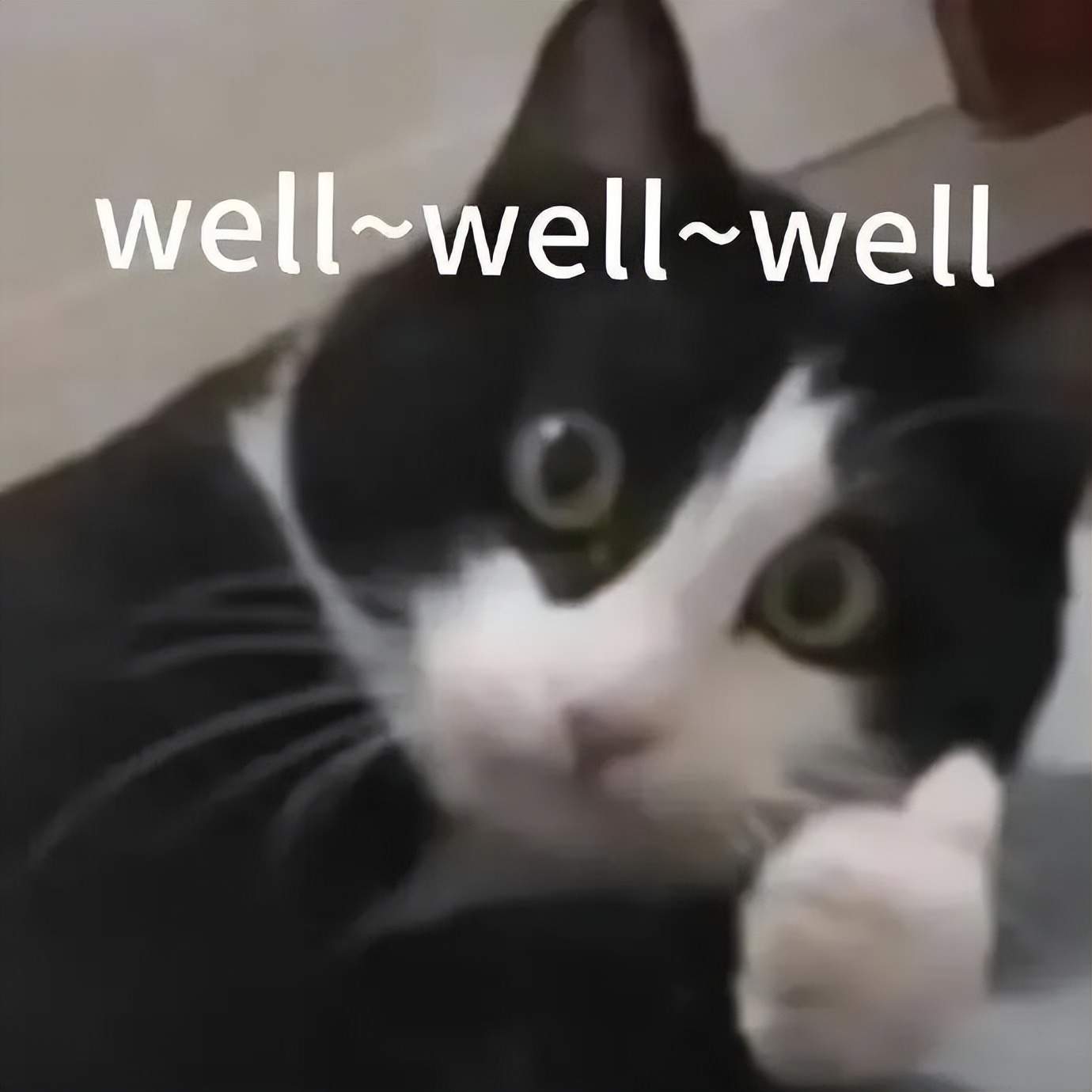 B站整了个搞笑诺贝尔评选,也太难绷了 B站整了个搞笑诺贝尔评选,也太难绷了