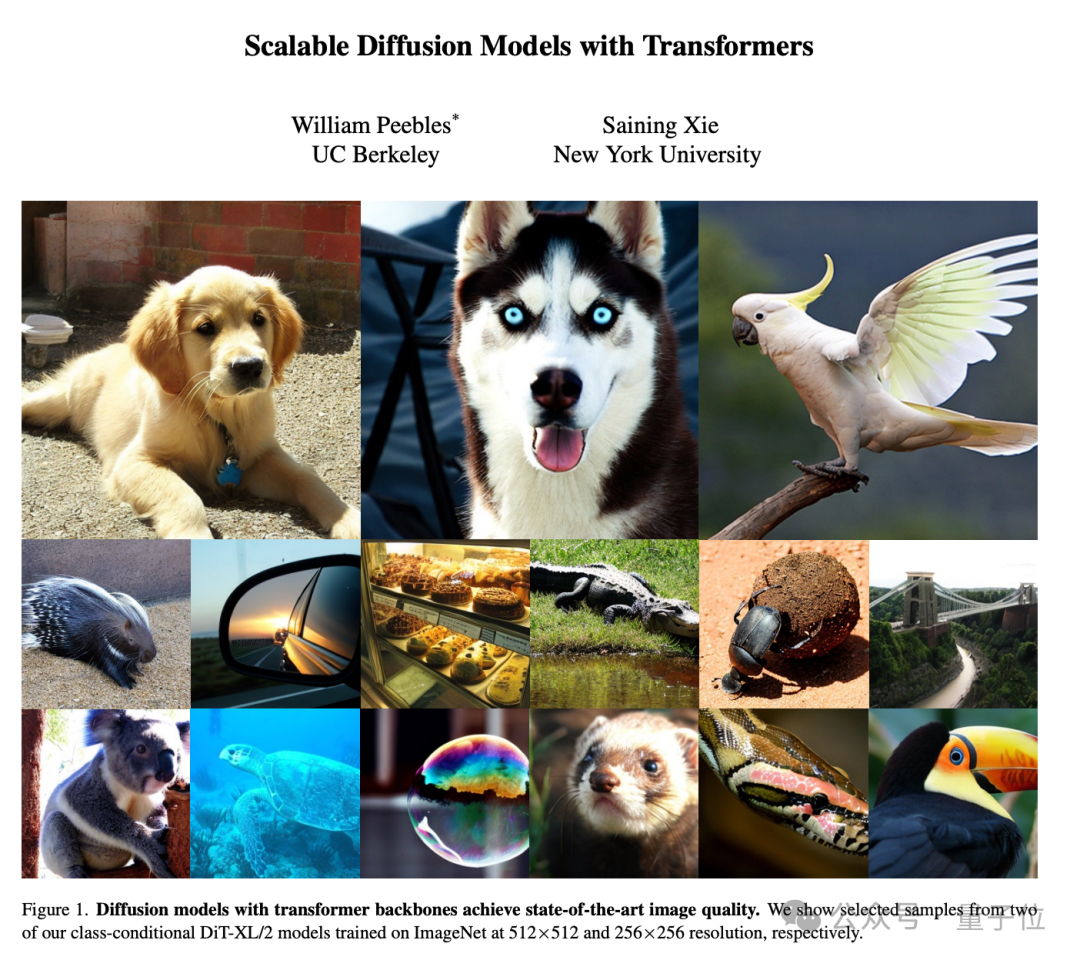 谢赛宁紧急辟谣：Sora跟我一点关系没有，他们996搞一年了