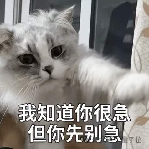 GPT5.5代号“蒜你狠”曝光!OpenAI拉响红色警报加班赶制新模型,最快下周就发 GPT5.5代号“蒜你狠”曝光!OpenAI拉响红色警报加班赶制新模型,最快下周就发