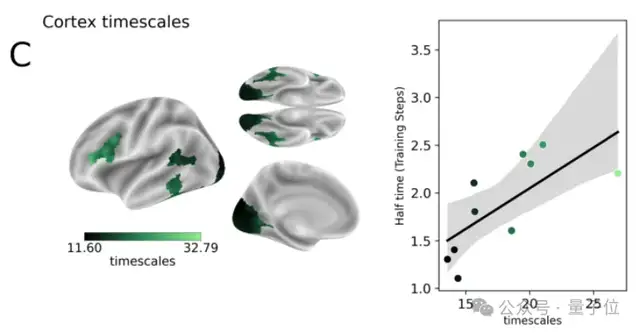 最新研究揭示视觉模型与人脑的对齐机制