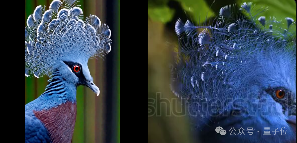 Sora新视频只发TikTok：OpenAI 4天涨粉10万