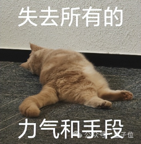 谢赛宁盛赞字节Seed新研究!单Transformer搞定任意视图3D重建 谢赛宁盛赞字节Seed新研究!单Transformer搞定任意视图3D重建