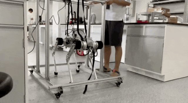 自研大模型上车双足机器人，西湖大学系具身智能曝光