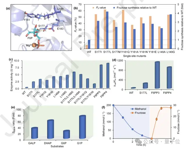 人类能从空气里造糖了！我国科学家首次实现二氧化碳人工合成蔗糖