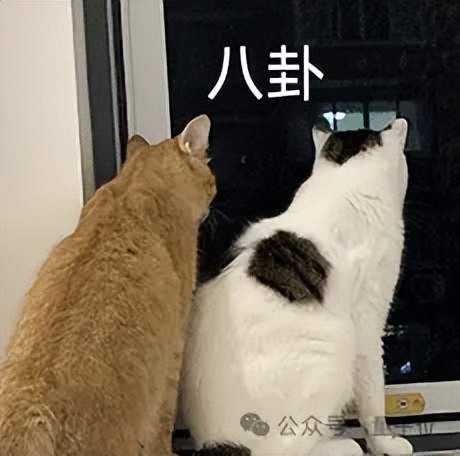 字节“豆包手机”刚开卖，吉利系进展也曝光了：首月速成200人团队，挖遍华为小米荣耀