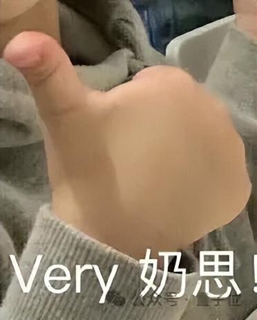 国产开源Sora上新:全面支持国产AI算力,可用ReVideo视频编辑,北大-兔展团队出品