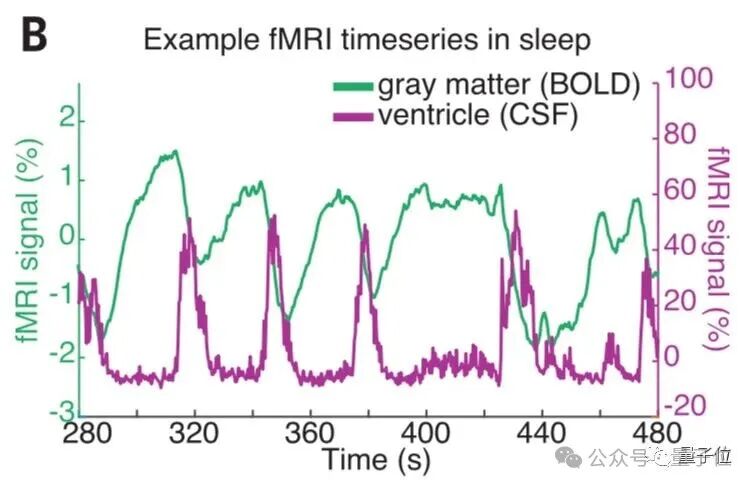 熬夜后走神不是你的错，而是自救机制在“洗脑” | Nature