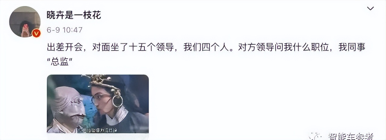 赵晓卉一句话，数百万网友操碎了心