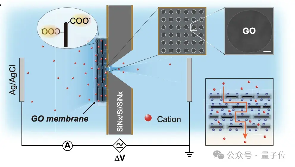 AI有味觉了:分辨可乐和咖啡,只需“尝一尝”丨Nature