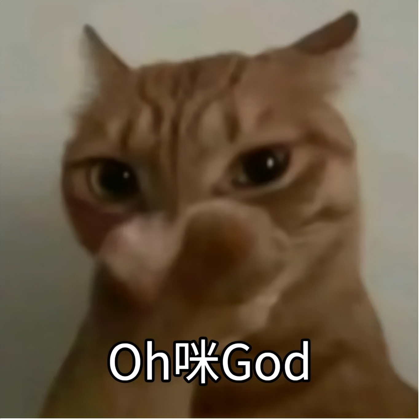 14000人原地被裁！亚马逊今日：打工人水深，AI机器人火热