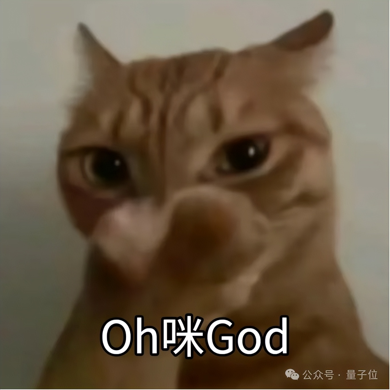 硅谷祛眼袋,海淀求嫩肤:中外科技老哥都在偷偷卷颜值 硅谷祛眼袋,海淀求嫩肤:中外科技老哥都在偷偷卷颜值