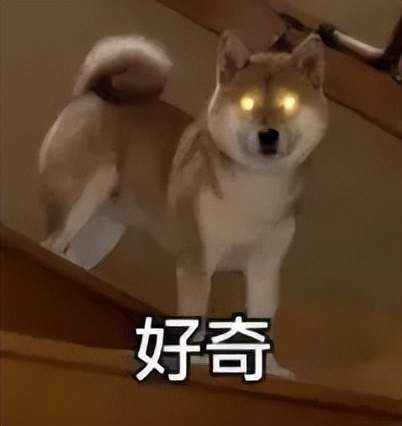 美团新独立APP，点不了菜只能点AI